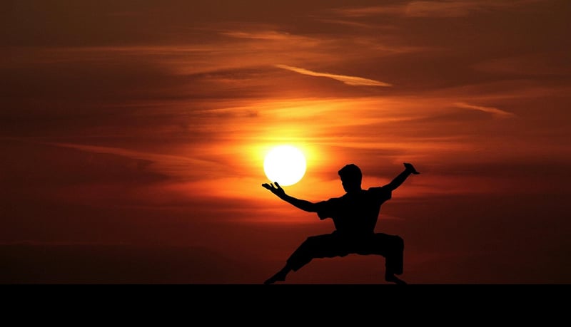 Chen Style Tai Chi Movements